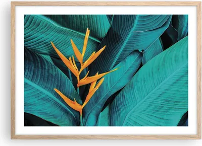 Produktbild von Gerahmtes Poster - Rahmen in heller Eiche - Blumen Tropen Blätter - 70x50 cm - Wand Bild - Wanddeko - Wandbilder - Kunstposter - Wandposter - Bilderrahmen - Bilder - Kunstdruck - P2NAA70x50-5116