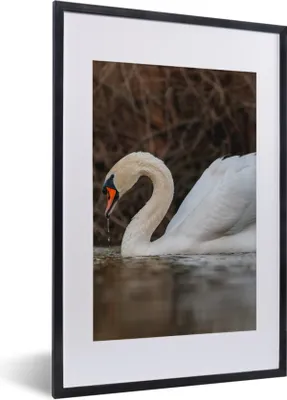 Produktbild von MuchoWow® Gerahmtes Poster Schwan - Wasser - Tiere - Vogel 40x60 cm - Poster mit Schwarzem Bilderrahmen Wandposter Rahmen Foto Bilder - Poster in Rahmen