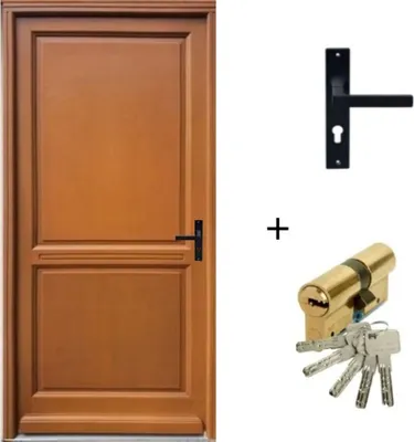 Image de Porte d'entree Bois Pleine, Eyden (Edda), H215 x L90 p.Gauche + Poignee Et Barillet (ref010723NO)