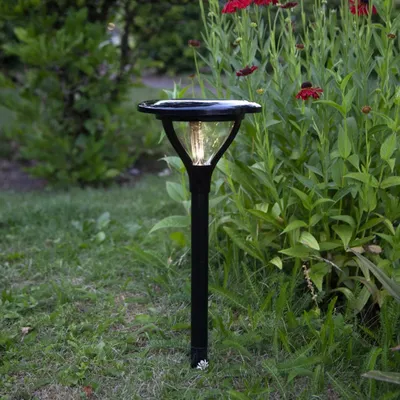 Zdjęcie produktu dla Lampa ogrodowa Led solarna MERVIA