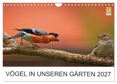 Produktbild von Vögel in unseren Gärten 2027 (Wandkalender 2027 DIN A4 quer), CALVENDO Monatskalender