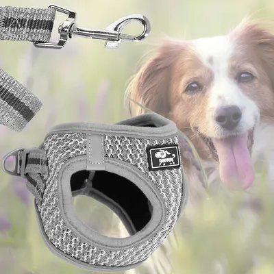 Imagen del producto de Arnés para perro - Sin tirones - Ajustable - Gris - Para perros de 14-20 kg - Talla L