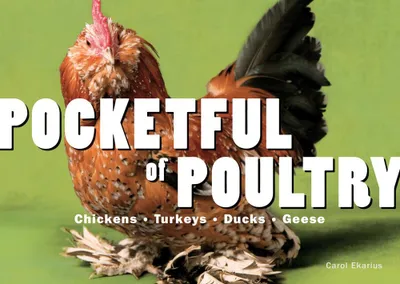 Produktbild von Pocketful Of Poultry