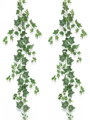 Produktbild von 2 künstliche Efeu-Girlanden, 2 Meter lang, Blättergirlande, für Hochzeiten, Küche, Garten, Partys, Wanddekoration, Weihnachten, Halloween-Dekoration (Gesamtlänge 4 Meter)