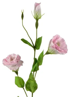 Productafbeelding van Viridis Kwiat Kunstbloem Eustoma, 70 cm, met rubberen coating