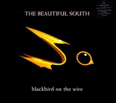 Immagine prodotto di Backbird on the WIre