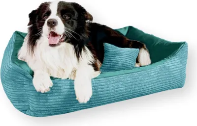 Produktbild von 4L Textil MOLLY Kuscheliges Cord Hundebett große Hunde Hundekorb Cord Hundekissen flauschig Hundekörbchen Cord (120x100 cm, Türkis)
