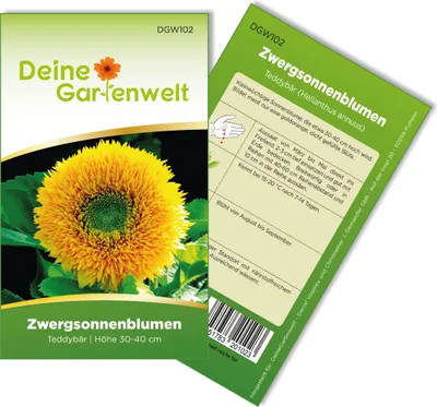 Produktbild von Zwergsonnenblumen Teddybär Samen - Helianthus annuus - Zwergsonnenblumensamen - Blumensamen - Saatgut für 20 Pflanzen