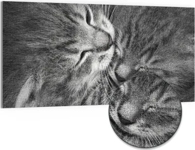 Produktbild von DEQORI Hybrid Leinwand Bild 100x50 cm 'Sanfte Träume' Wandbild Glas flach modern