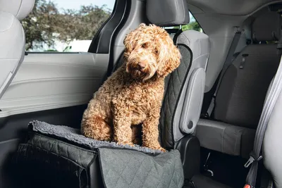 Produktbild von Dirty Dog Autodecke - Hund - Vordersitz - Grau - 112x89 cm