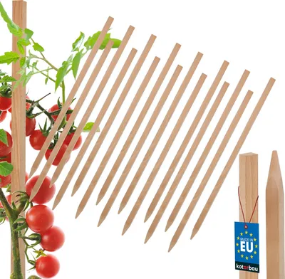 Produktbild von KOTARBAU® 15er Set Pflanzstäbe 30cm Tomaten & Gurken Rankhilfe Tomatenstäbe Holzpfähle Holzstäbe Pflanzenstütze Holzpfosten  aus Buchenholz Natürlich