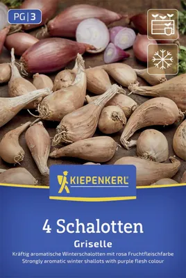 Produktbild von Kiepenkerl Winterpflanzschalotte Griselle Allium ascalonicum 4 Zwiebeln