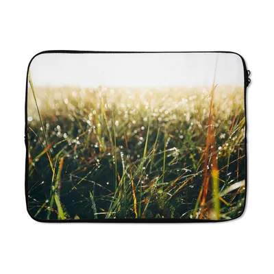 Produktbild von MuchoWow® Laptop Hülle 15 Zoll Rasenfläche - Pampasgras Laptoptasche - Laptoptasche - Sleeve - Rundum-Schutz