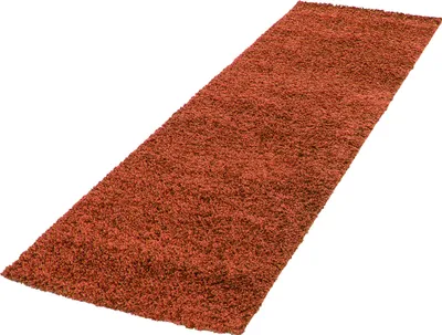 Produktbild von Hochflor Teppich LIFE Terrakotta 80 x 250 cm