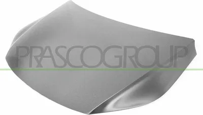 Produktbild von PRASCO VG8073130 Motorhaube für VW TIGUAN (5N)
