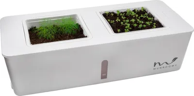 Produktbild von Kräutertopf mit Wasserbehälter selbstbewässernd Küchen Gewächshaus Pflanzgefäß