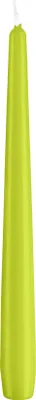Produktbild von Spitzkerzen Lime 240 x Ø 23 mm, 50 Stück