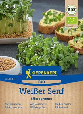 Produktbild von Microgreens Weißer Senf | Keimsprossen von Kiepenkerl