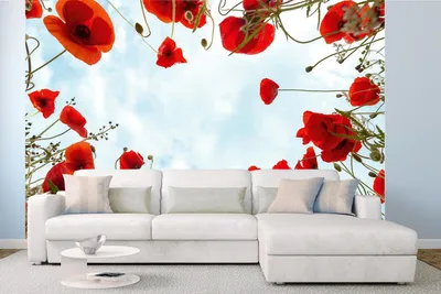 Produktbild von Vlies Fototapete MOHNBLUMEN 375 x 250 cm (inkl. Kleister) - Vlies Tapete, Wandtapete, Wandbilder - Tapete für Wohnzimmer Schlafzimmer, Büro, Küche - Montagefertig