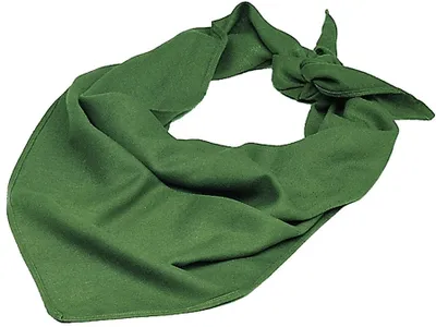 Produktbild von Bundeswehr Dreieckstuch Original, oliv