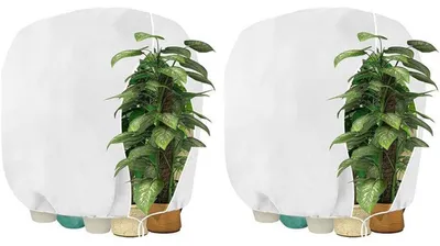 Produktbild von Pflanzen Winterschutzhaube mit Reißverschluss 120 x 180 cm Weiß 2 Stück