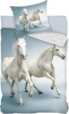 Produktbild von Pferde Motiv Bettwäsche 2tlg Set 135x200 80x80 cm 100% Baumwolle