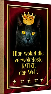 Produktbild von Holzschild Spruch 20x30cm hier wohnt Katze der Welt