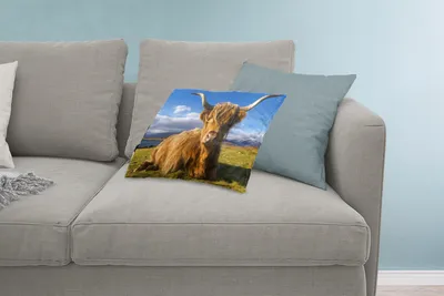 Produktbild von MuchoWow® Zierkissen Sofakissen Wohnzimmer Dekokissen 60x40 cm Schottische Hochlandrind - Tiere - Gras - Kopfkissen - Polster mit Foto