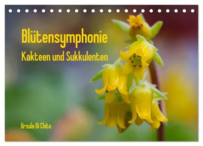 Produktbild von Blütensymphonie - Kakteen und Sukkulenten (Tischkalender 2027 DIN A5 quer), CALVENDO Monatskalender