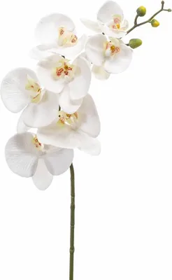 Produktbild von artplants.de Künstliche Blume Phalaenopsis Orchideen Zweig NEITH, weiß, 85cm - Textilblume Orchidee