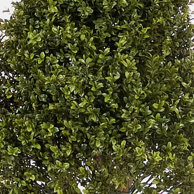 Produktbild von artplants.de Künstlicher Buchsbaum Tom, 1190 Blätter, 105cm, Ø 40cm - Künstliche Buchskugel - künstlicher Baum