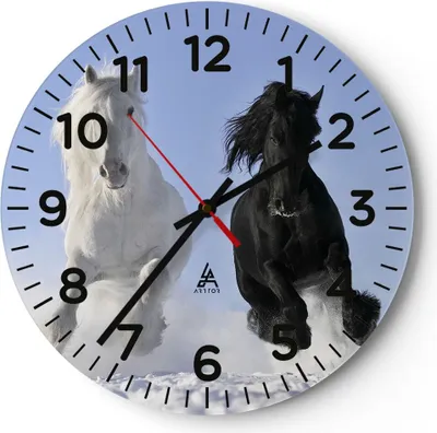 Produktbild von Wanduhr - Rund - Glasuhr - Tiere Schönheit Wettbewerb - 30x30cm - Schleichendes Uhrwerk - Lautlos - zum Aufhängen bereit - Dekoration Modern - Wanddekoration aus Glas - C4AR30x30-2179