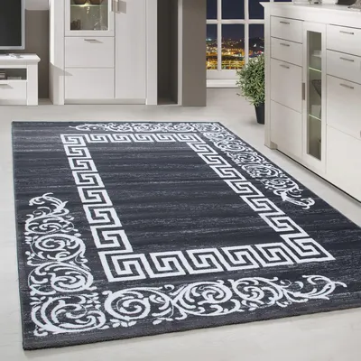 Immagine prodotto di Homebyhome Tappeto Moderno di Design Pelo Corto Rettangolare Facile da Pulire per Ambienti Soggiorno Eleganti, Dimensioni: 80x150 cm
