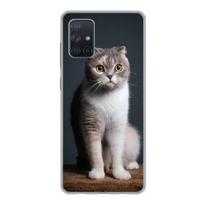 Produktbild von MuchoWow® Handyhülle Schutzhülle Hülle für Samsung Galaxy A51 Katze - Haustiere - Licht Silikon Softcase Handy Hülle - Schutzabdeckung
