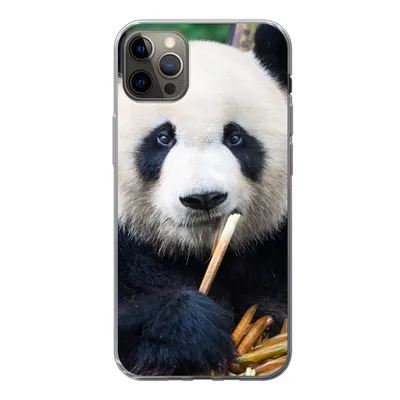 Produktbild von MuchoWow® Handyhülle Schutzhülle Hülle für iPhone 12 Pro Max Panda - Bambus - Natur Silikon Softcase Handy Hülle - Hartschale