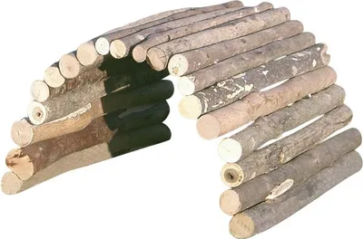 Produktbild von Drevený mostík pre hlodavce z prírodného dreva, 27x16cm, Kerbl