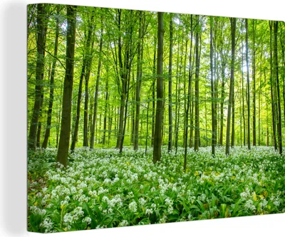 Produktbild von OneMillionCanvasses® - Leinwandbilder - 150x100 cm, Wald - Bäume - Grün, Wandbilder Kunstdruck Wanddekoration