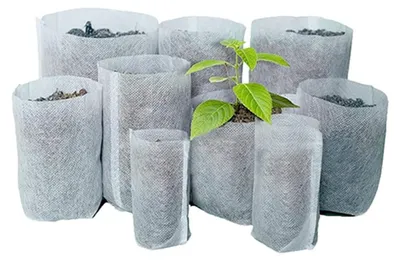 Image de Bacs de semis biodégradables pour le jardinage