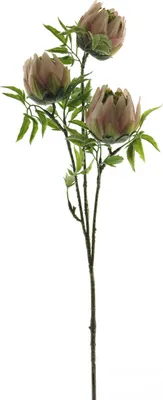Produktbild von artplants.de Kunstblumen Zweig Protea LIUJIA, rosa-grün, 75 cm - Künstlicher Blumenzweig