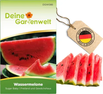 Produktbild von Wassermelonen Sugar Baby Samen - Citrullus lanatus - Wassermelonensamen - Obstsamen - Saatgut für 10 Pflanzen