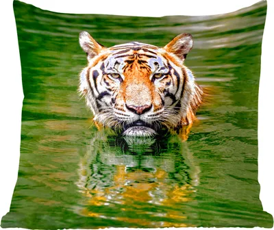 Produktbild von MuchoWow® Zierkissen Sofakissen Wohnzimmer Dekokissen 45x45 cm Tiger im Wasser - Schlafpolster - Polster für das Sofa