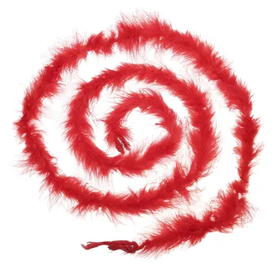 Image de Boa en plumes de 2 mètres (6,6 pieds) pour travaux manuels et décoration