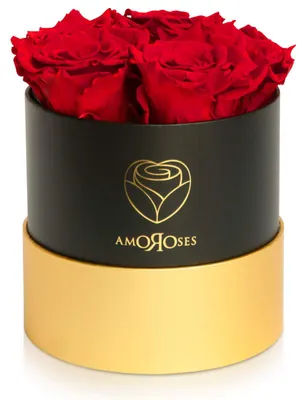 Geschenkbox mit 5 ewigen Rosen – elegantes Blumenarrangement