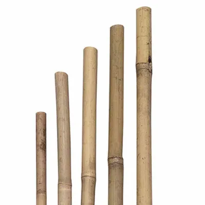 Image de Bâtons d'argile, 6/8 mm x 75 cm