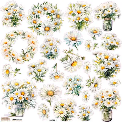 Image de Autocollants - ScrapLove - Marguerites