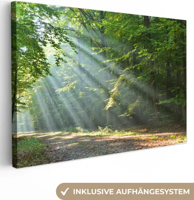 Obrázok produktu pre MuchoWow® - Plátno - Jar - Les - Strom, nástenná maľba, nástenné dekorácie obrazy obývacia izba, 120x80cm