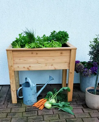 A raised garden bed filled with leafy greens, with vegetables and a watering can placed underneath, next to potted plants.
