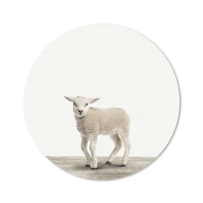 Produktbild von MuchoWow® Mauspad Mousepad Lamm - Schaf - Tiere - Kinder - Mädchen - Jungen 50x50 cm - Mousepads - Maus Mat - Pad - Mausunterlage - Vinyl