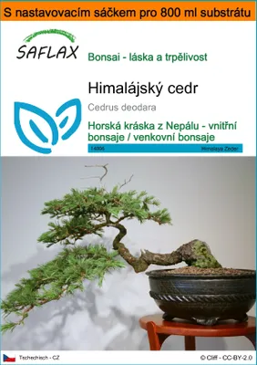 Obrázek produktu pro SAFLAX Garden in the bag - Himalájský cedr - Cedrus deodara - 35 Semena - S pěstebním substrátem v praktickém samovztyčovacím sáčku
