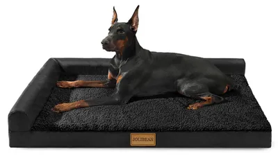 Immagine prodotto di Cuccia ortopedica per cani, dimensioni L, 91x61 cm, colore nero, con bordi in schiuma
